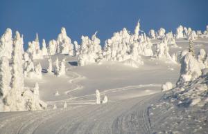 Cold Weather and Tooth Pain