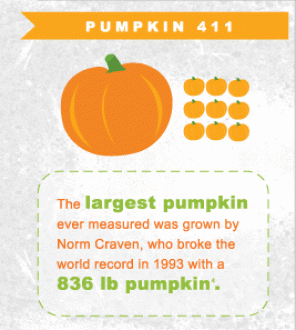 Pumpkin 411